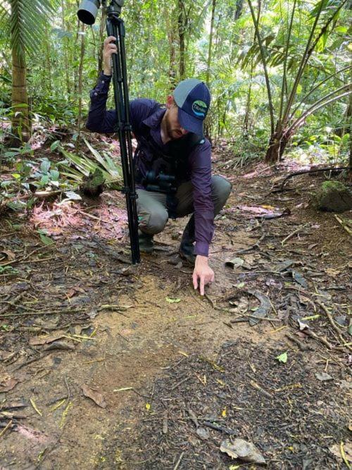 Tirimbina Rainforest * Sarapiquí