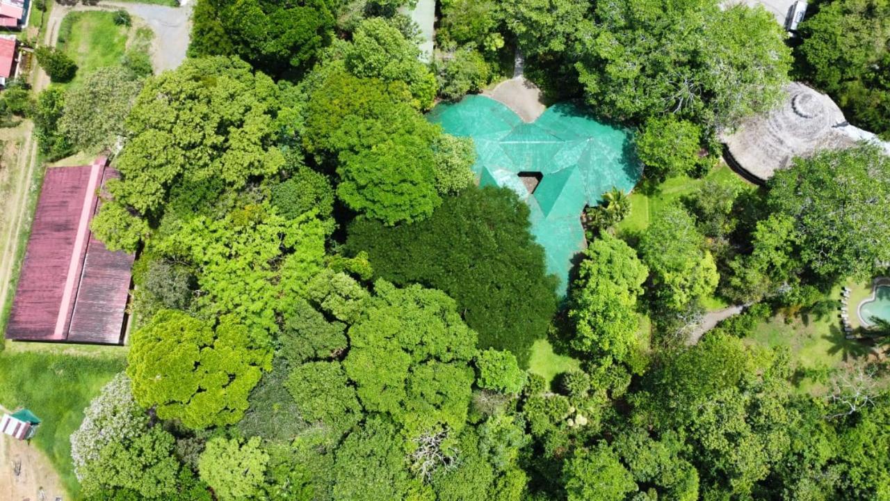 Lodge Tirimbina Rainforest