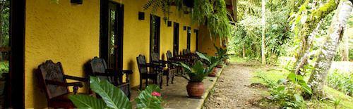 Tirimbina Rainforest