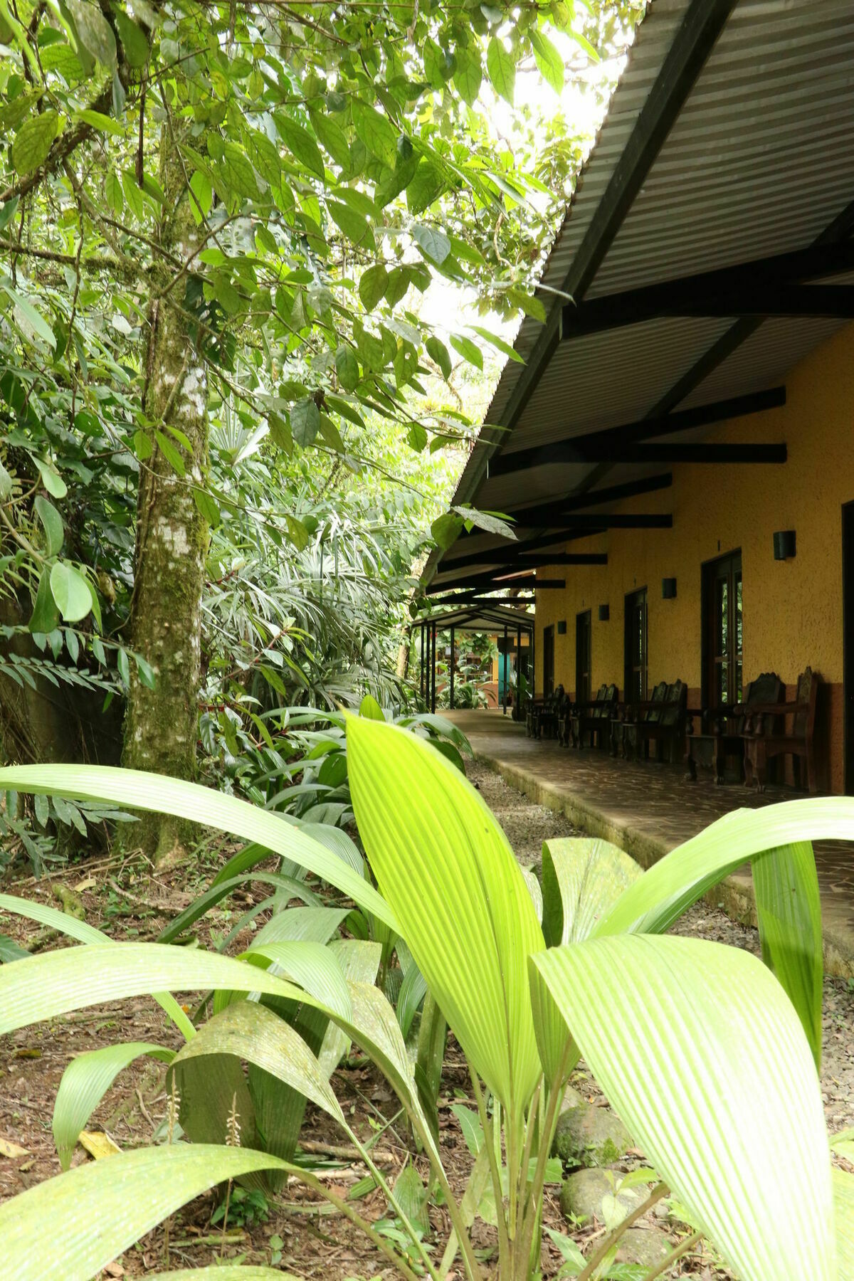 Lodge Tirimbina Rainforest